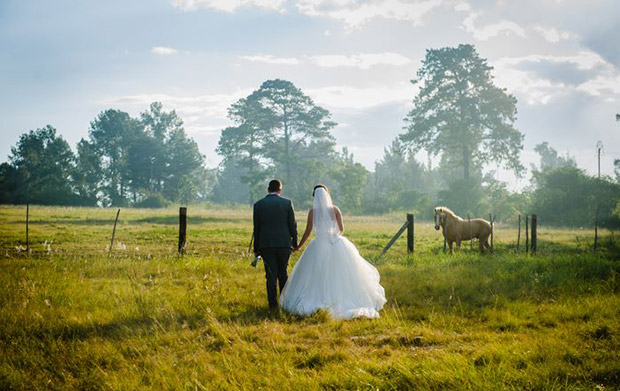 Everwood Country Weddings Venue Gauteng Horses Bride And Groom Shoot