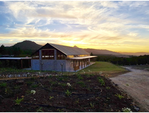 Hemel-en-Aarde-Wedding-Venues-The-One-Heaven-And-Earth