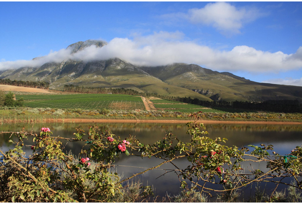 Hemel-en-Aarde-Wedding-Venues