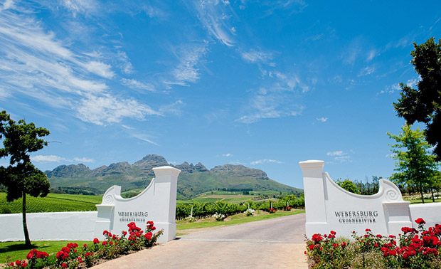 Stellenbosch Wedding Venue Webersburg Wine Estate Wedding Co