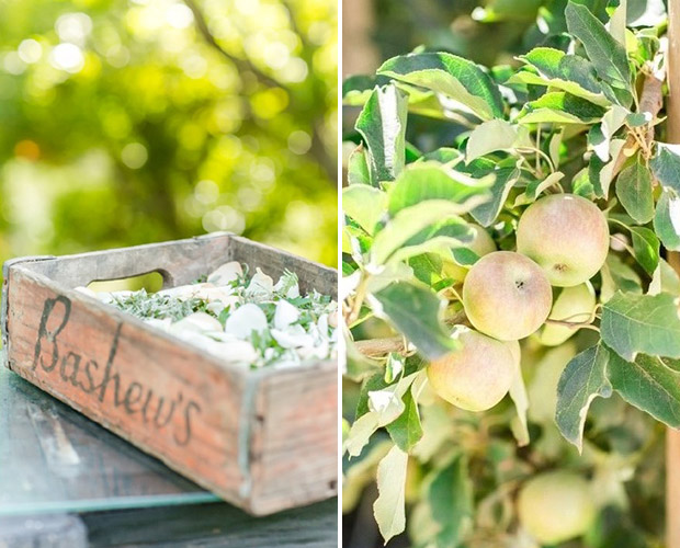 Wedding Confetti and natural orchard Claire Nicola Photography Cape Town Wedding Photographer