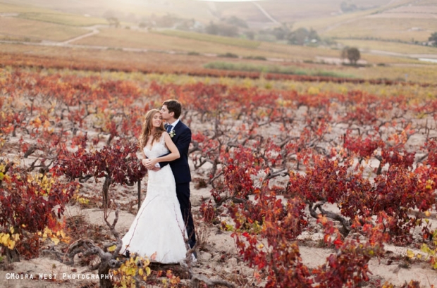 Cape Town Winelands Wedding Venue 401 Rozendal