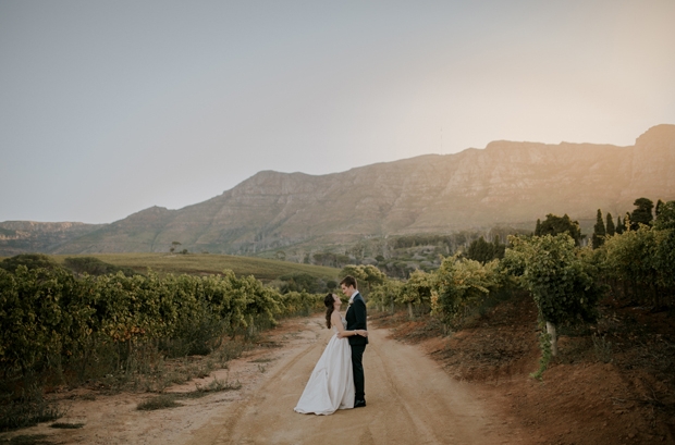 Buitenverwachting-Wedding-Venue-Constantia-Western-Cape-Mountain-View