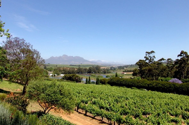 Devon-Valley-Stellenbosch-View-Winelands