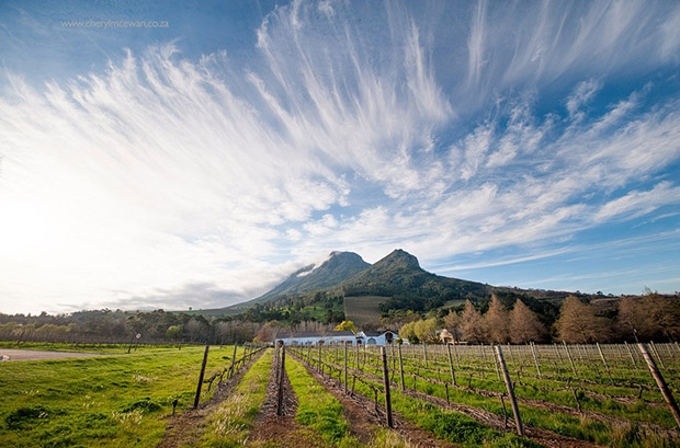 Cape Town Winelands Wedding Venue Zorgvliet