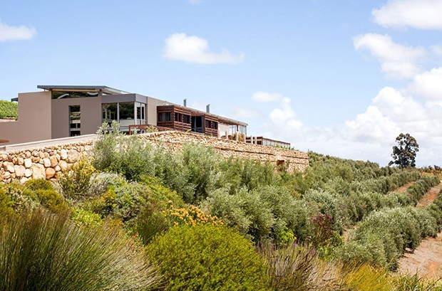 Hidden Valley Wine Estate Wedding Venue Stellenbosch