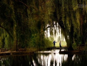 Heavens Gate Wedding Venue