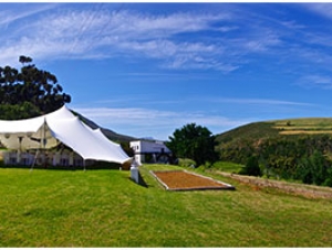 Beaumont Family Wines