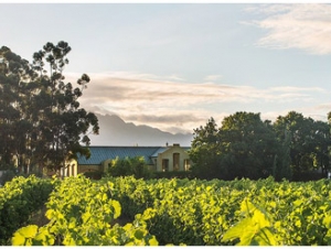 Saronsberg