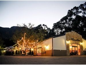 Allesverloren evening fairy lights in the trees outside the venue