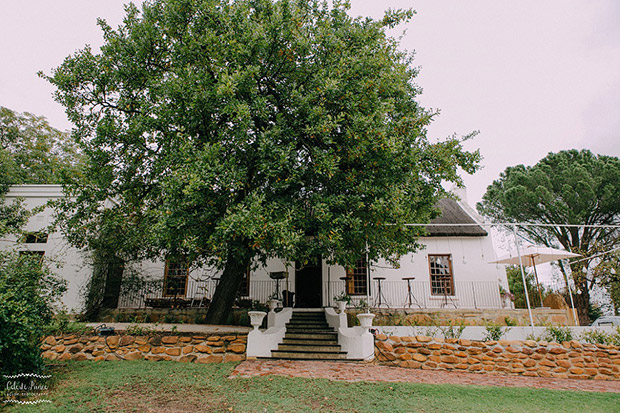 Langkloof Roses Wedding Venue Farm Western Cape Swartland