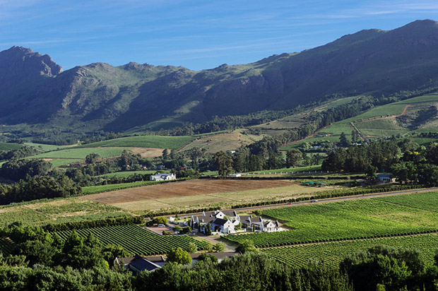 Zorgvliet Wine Estate Wedding Venue Stellenbosch BEautiful Landscape