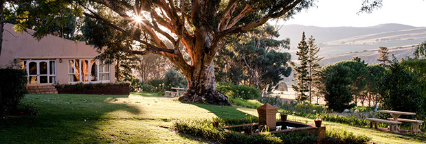 Blue Gum Country Estate Wedding Venue Western Cape Cape Town