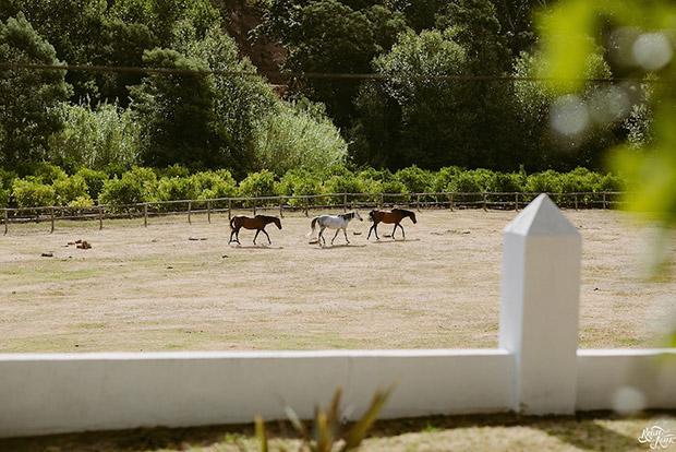 Grand Dedale Wedding Venue Winelands Cape Town