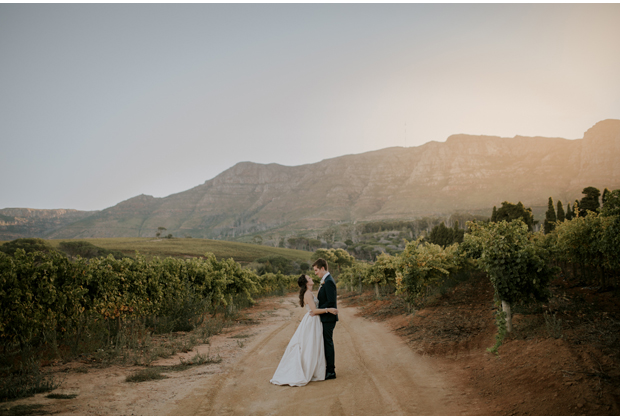 Buitenverwachting-Wedding-Venue-Constantia-Western-Cape-Mountain-View
