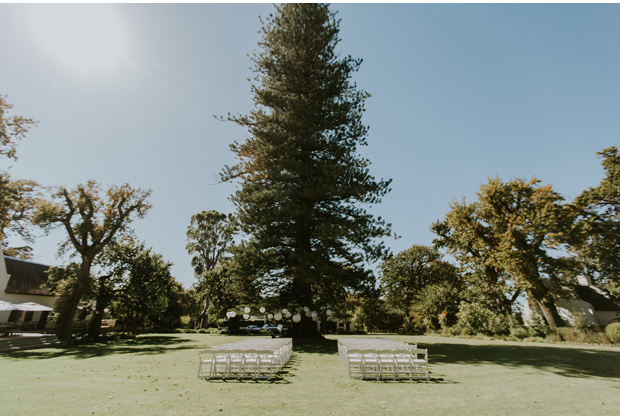 Buitenverwachting-Wedding-Venue-Constantia-Western-Cape-Pine-Tree-Ceremony