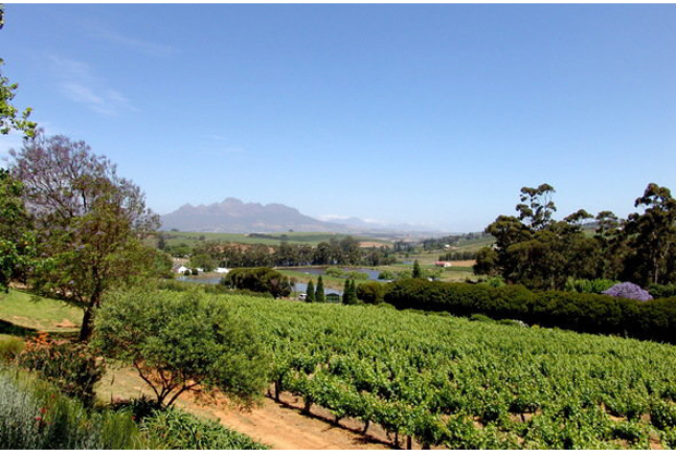 Devon-Valley-Stellenbosch-View-Winelands