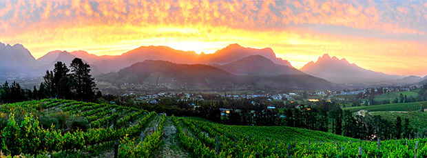 ROCA Restaurant Dieu Donne Wine Estate Franschhoek Wedding Venue