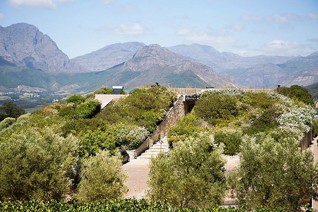 ROCA Restaurant Dieu Donne Estate Franschhoek Wedding Venue