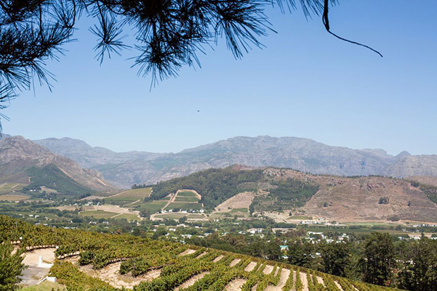 Amazing mountain views from Roca Wedding Venue Franschhoek Cape Town