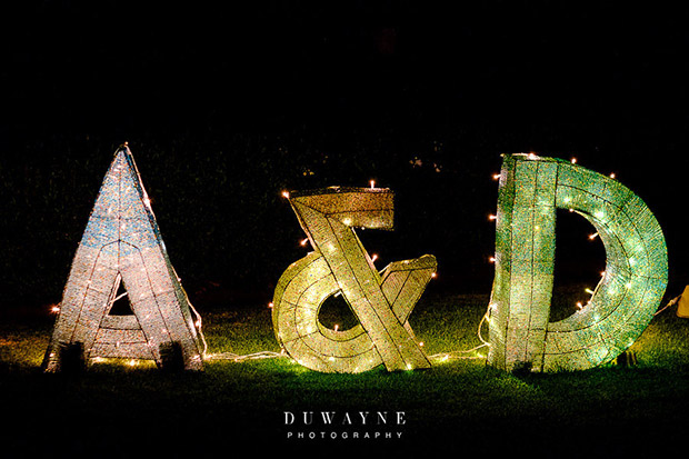 Wedding Decor Letter Lights