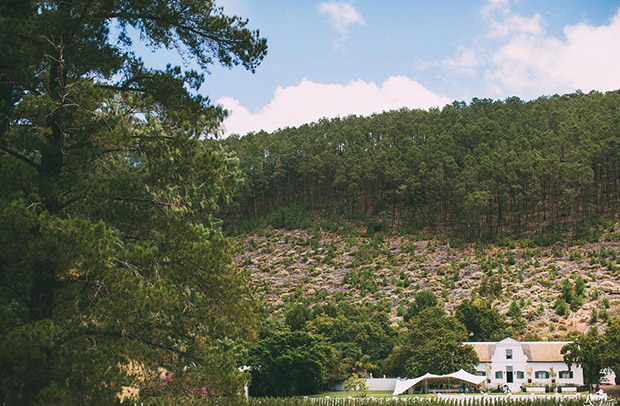 Rickety Bridge Wine Estate Wedding Venue