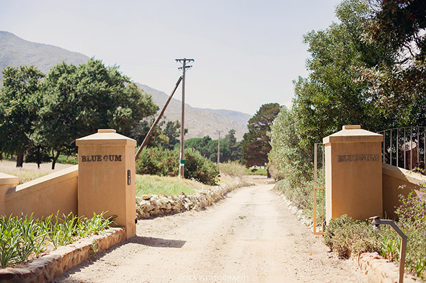 Blue Gum Country Estate Wedding Venue