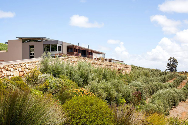 Hidden Valley Wine Estate Wedding Venue Photo by Expressions Photography