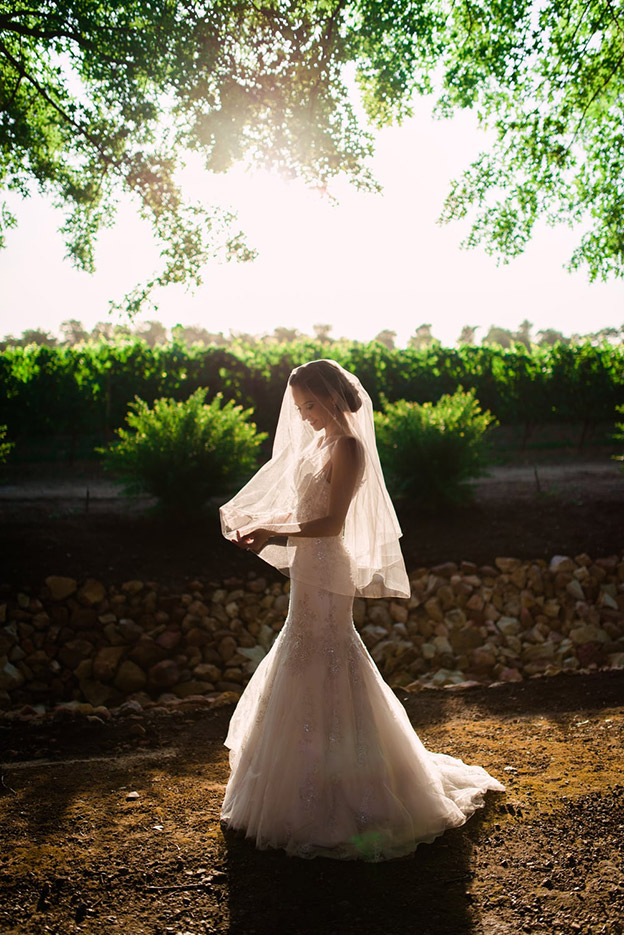 Photograph of Bride in Vineyards by Matthew Carr Photography Cape Town