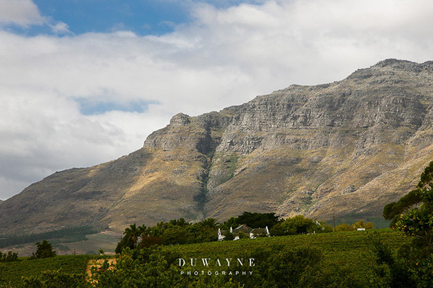 Mountain Backdrop at Webersburg Winelands Wedding Venue Stellenbosch