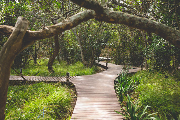 Walkway among the trees at Mosaic Wedding Venue