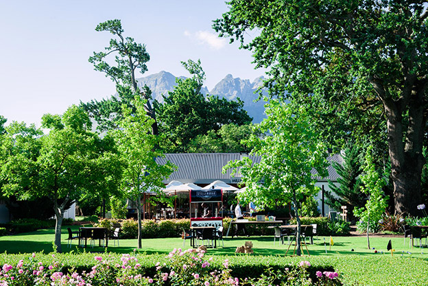 Lourensford Wedding Venue Cape Town