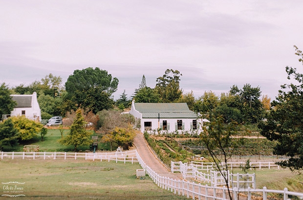 Langkloof Roses Wedding Venue Farm Western Cape Swartland