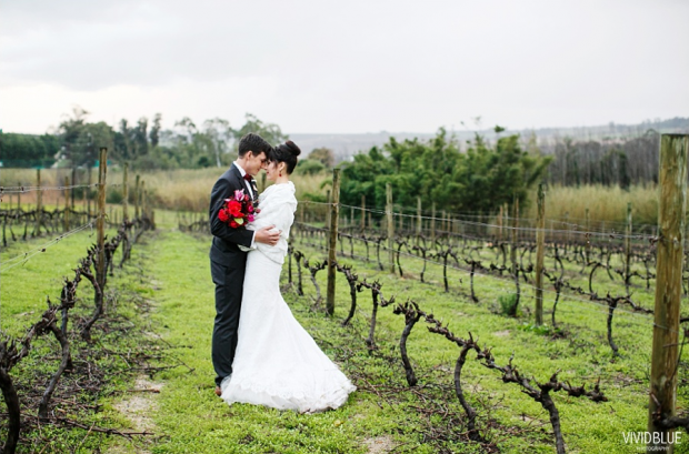 Cape Winelands Winter Wedding Venue