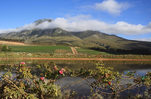 Hemel-en-Aarde-Wedding-Venues