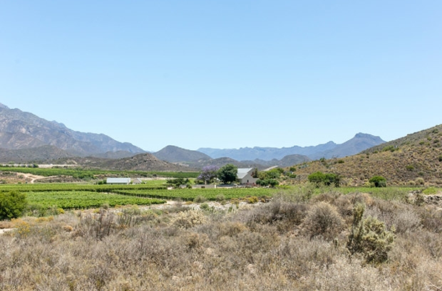 Cabrieres Karoo Montagu Wedding Venue View