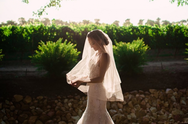 Photograph of Bride in Vineyards by Matthew Carr Photography Cape Town