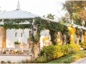 Forum White Light Wedding Venue Outside with Vines