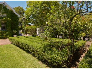 manicured garden with an arch surrounded by hedges and garden roses 